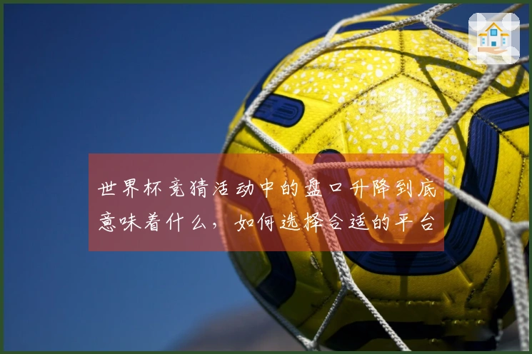 世界杯竞猜活动中的盘口升降到底意味着什么，如何选择合适的平台进行投注？