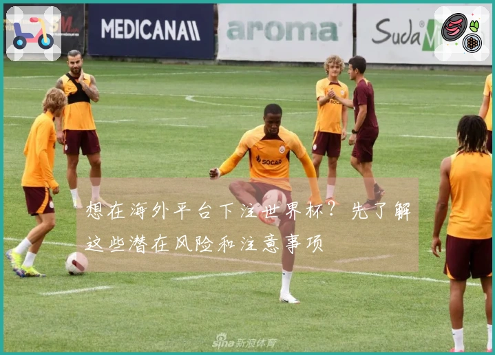 想在海外平台下注世界杯？先了解这些潜在风险和注意事项