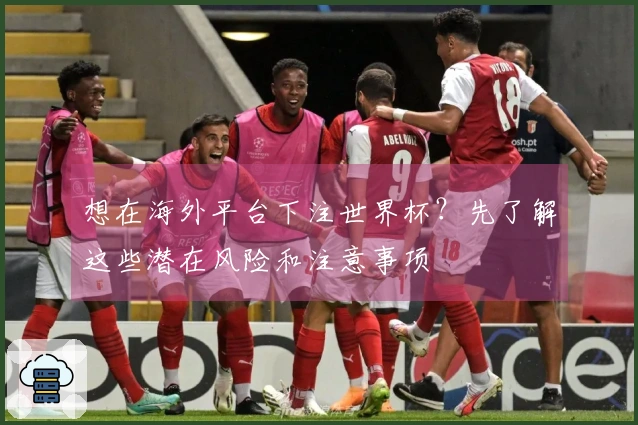 想在海外平台下注世界杯？先了解这些潜在风险和注意事项